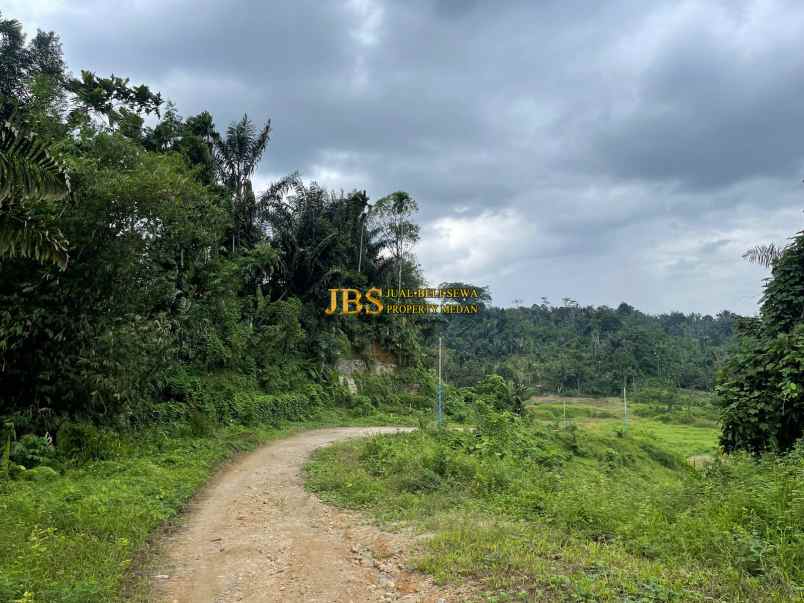 dijual tanah jalan namorambe sembahe