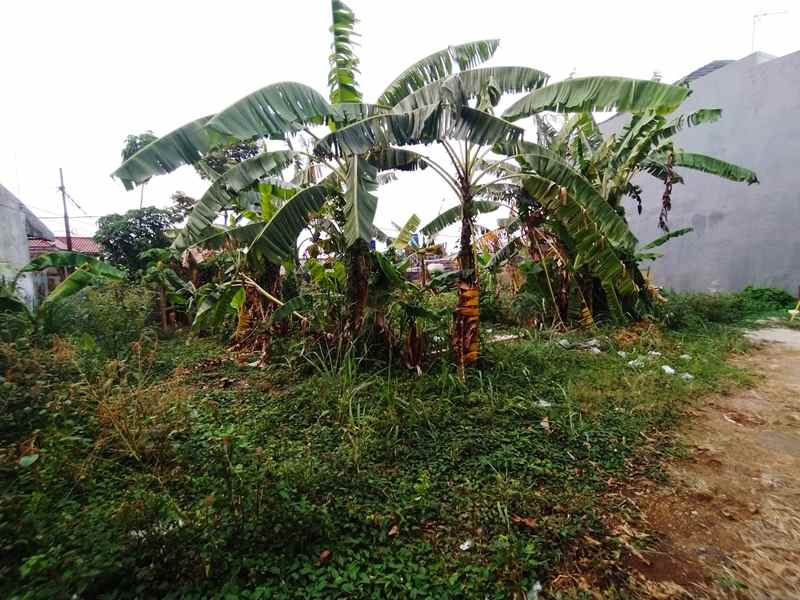 dijual tanah jalan pitara pancoran mas