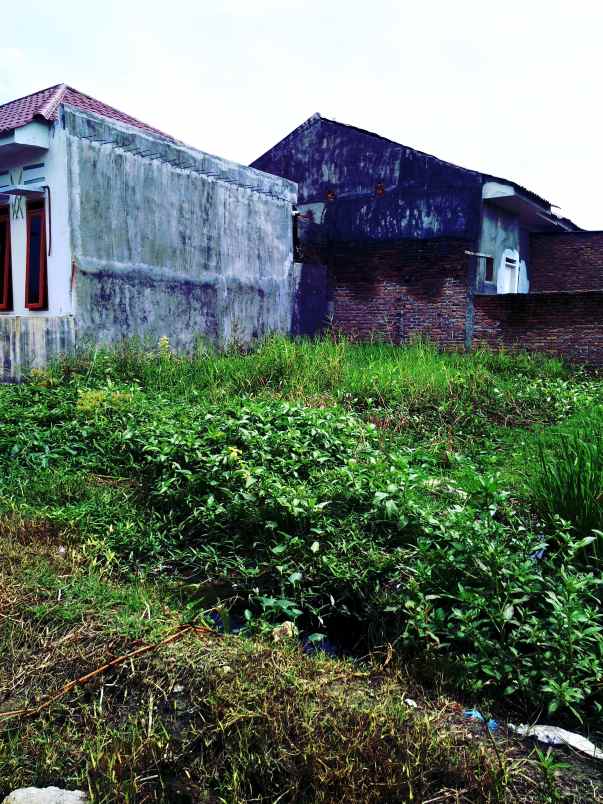 dijual tanah jalan sidomulyo pasar 9