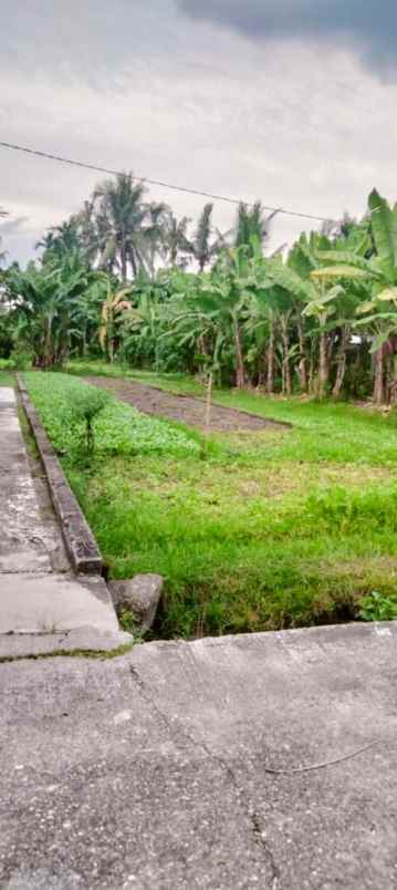 dijual tanah jl adi sucipto