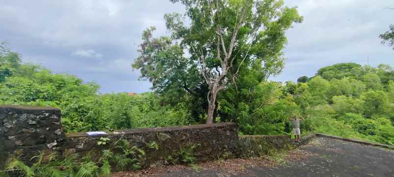 dijual tanah jl goa sakenan goa gong kutuh