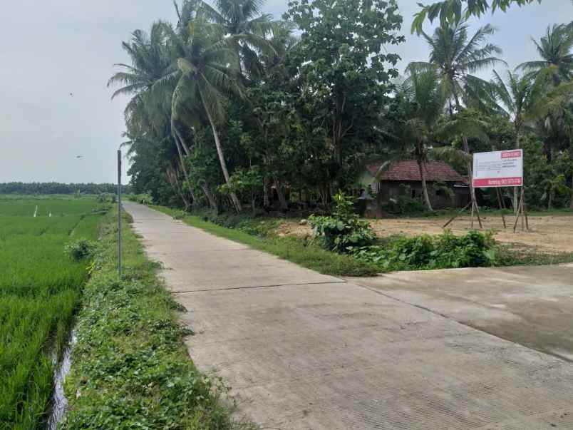 dijual tanah jl kh hisyam dusun iii