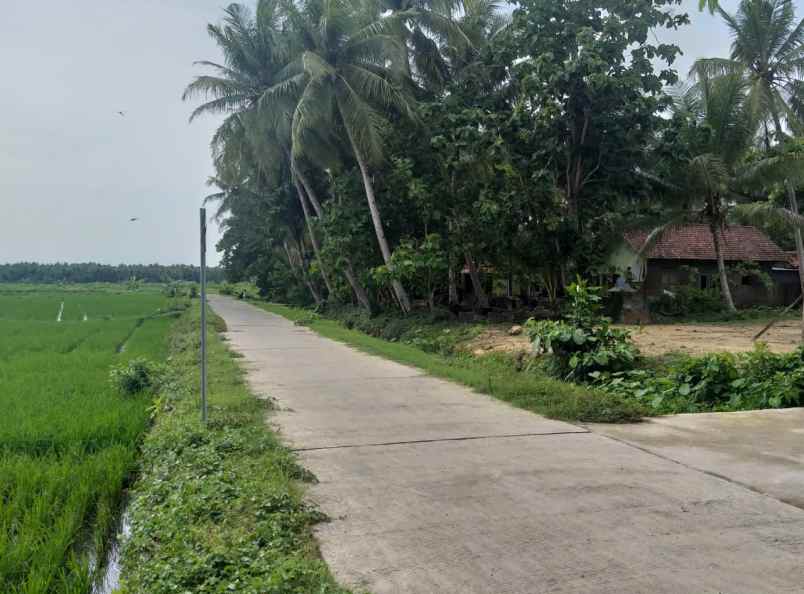 dijual tanah jl kh hisyam dusun iii