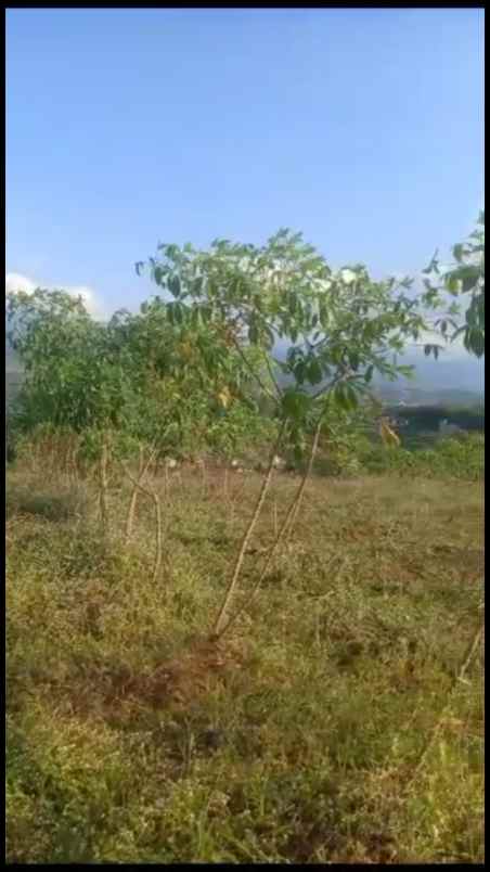 dijual tanah jl pasir ayunan cipedes