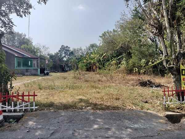 dijual tanah jl ponpes sunan ampel bajeng