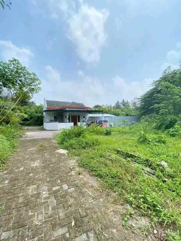 dijual tanah jl turi pakem bangunkerto