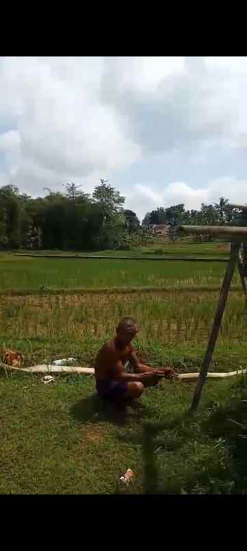 dijual tanah kaliori