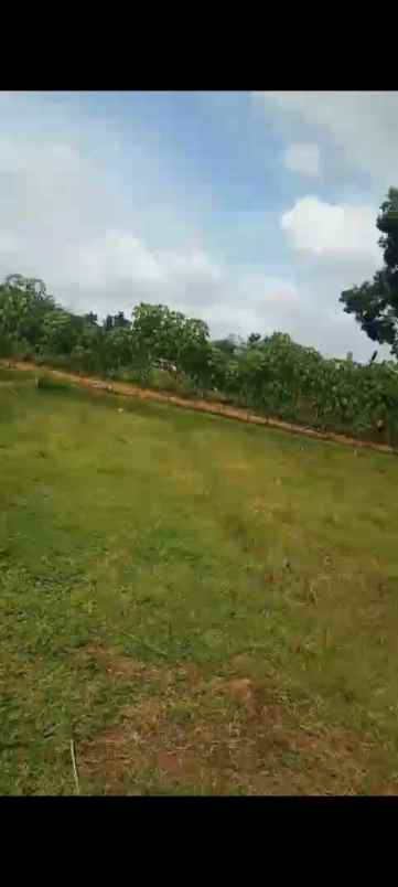 dijual tanah kaliori