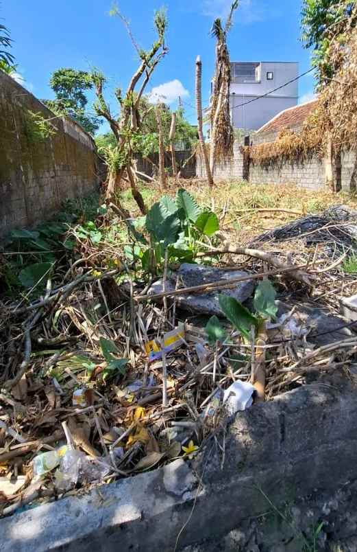 dijual tanah kayu tulang selatan