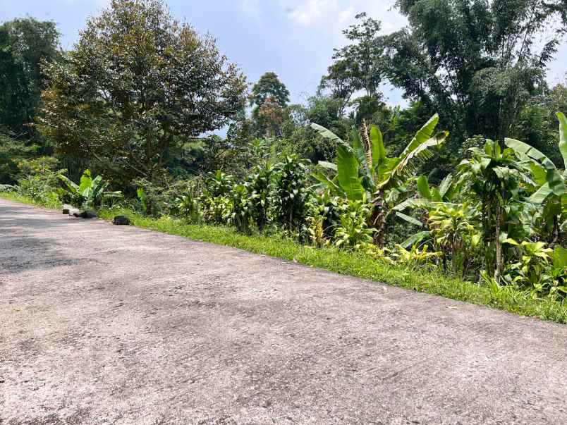 dijual tanah kemuning ngargoyoso