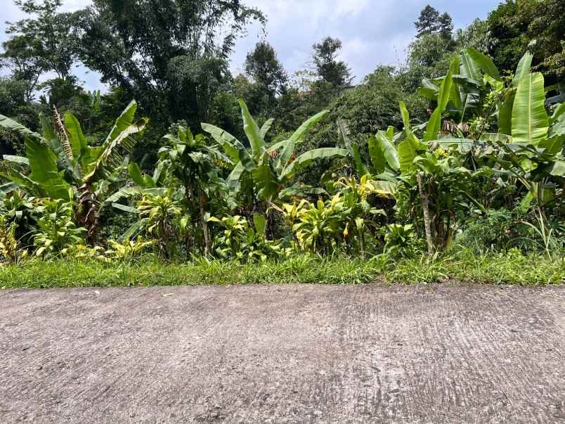 dijual tanah kemuning ngargoyoso