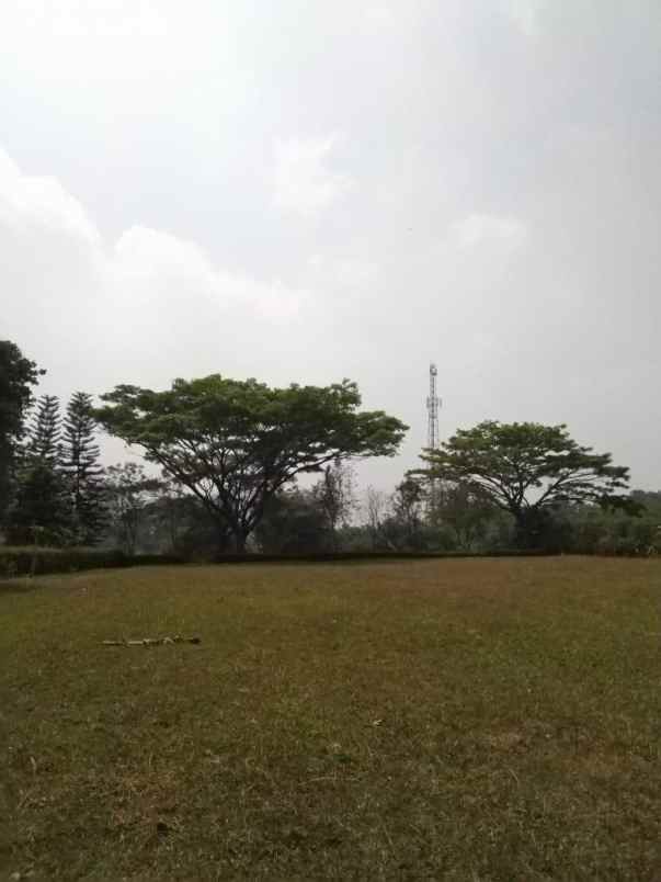dijual tanah kertamaya bogor