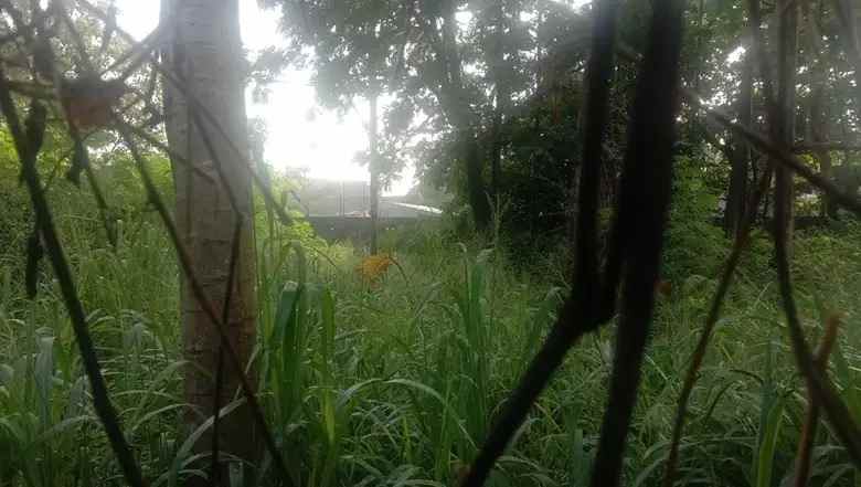 dijual tanah komplek ptb pondok kelapa