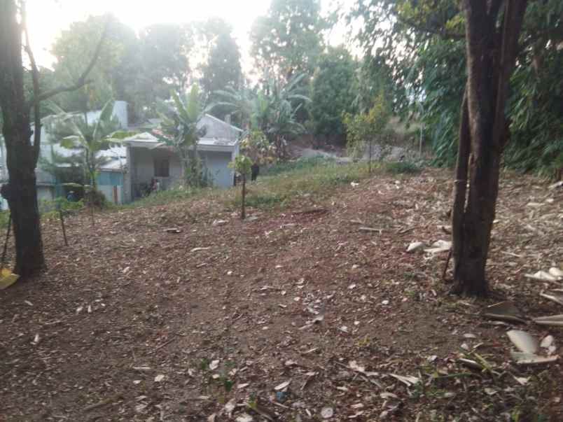dijual tanah melati wangi