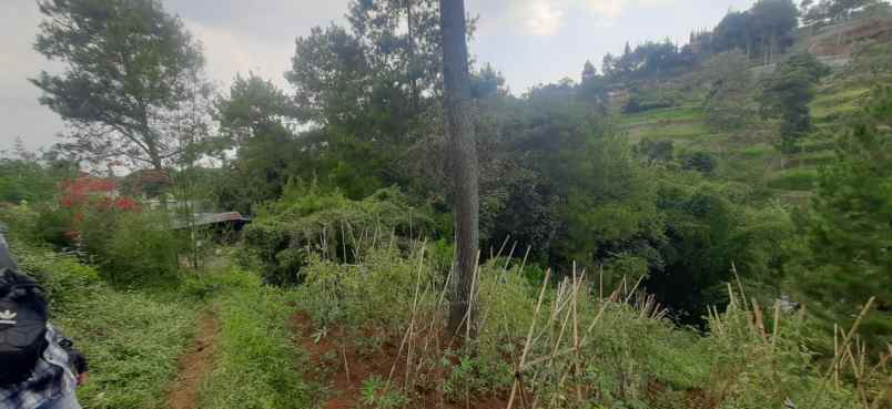dijual tanah murah view bandung dago giri bandung