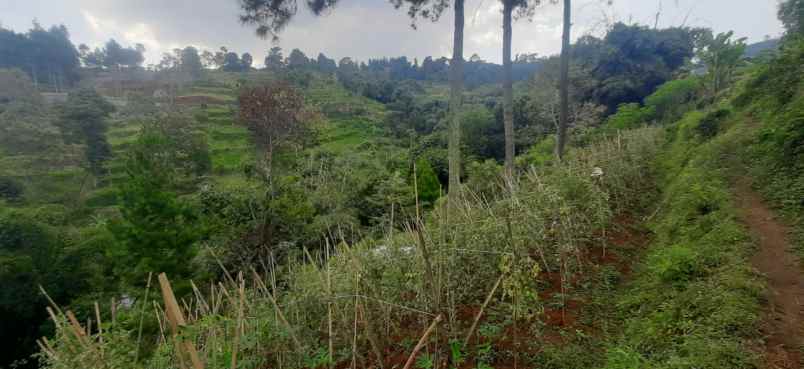 dijual tanah murah view bandung dago giri bandung