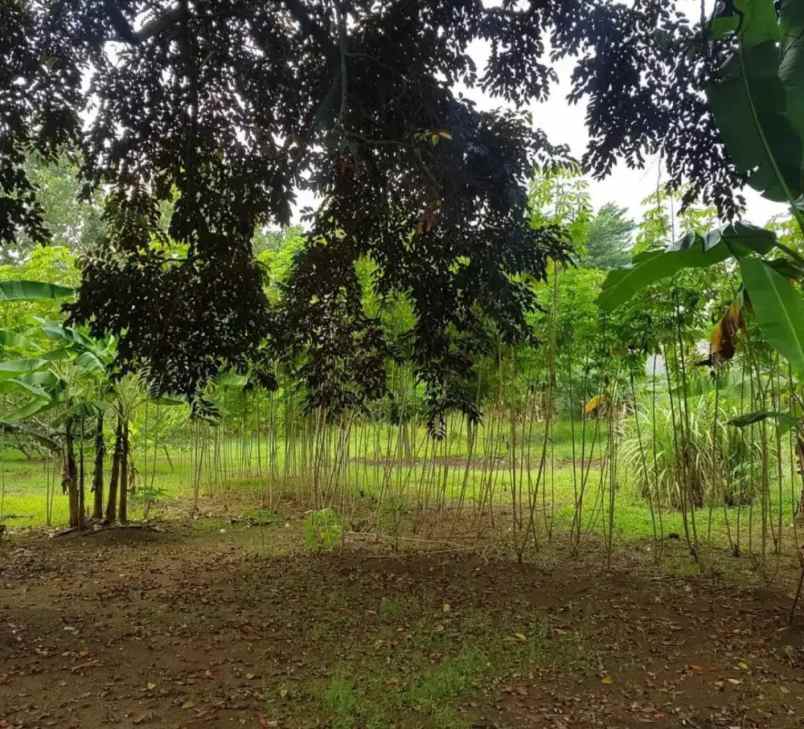 dijual tanah pisangan kec ciputat timur