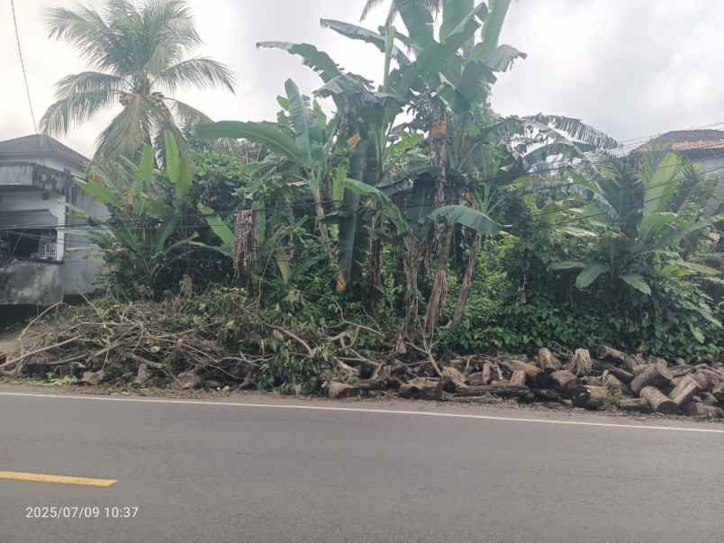 dijual tanah selabih tabanan bali