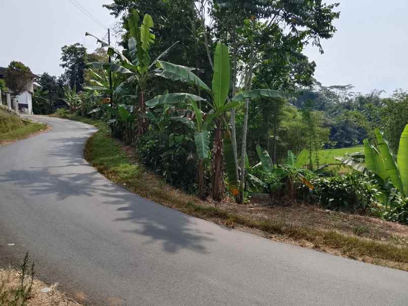 dijual tanah subang