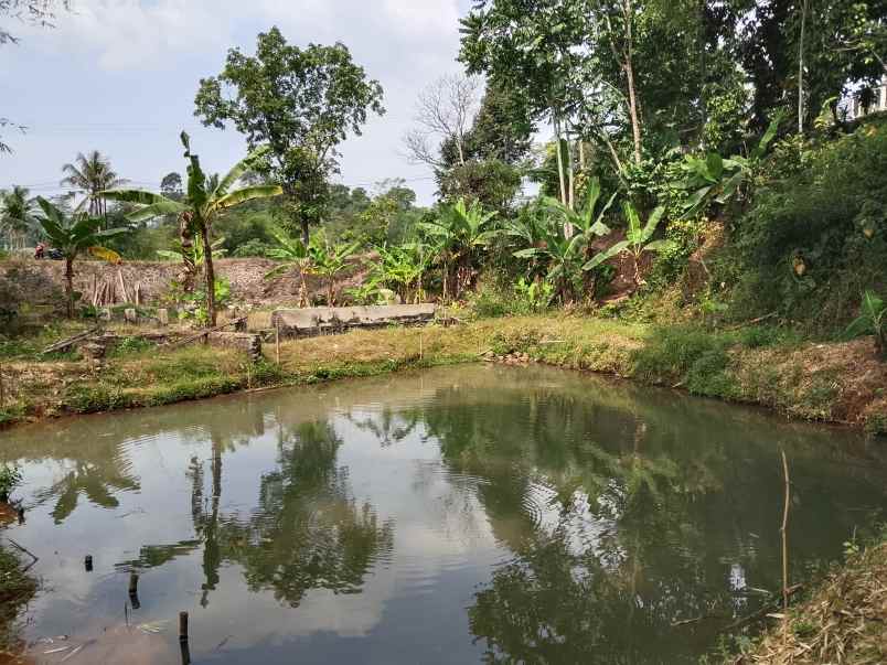 dijual tanah subang