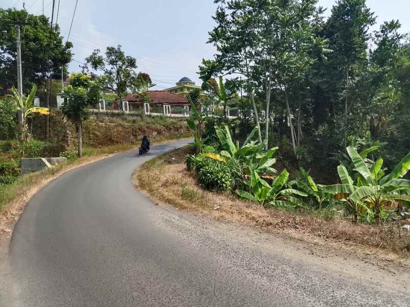 dijual tanah subang