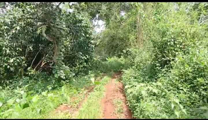 dijual tanah subang