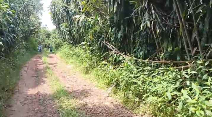 dijual tanah subang