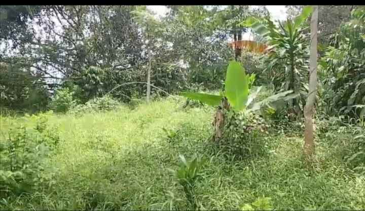 dijual tanah subang