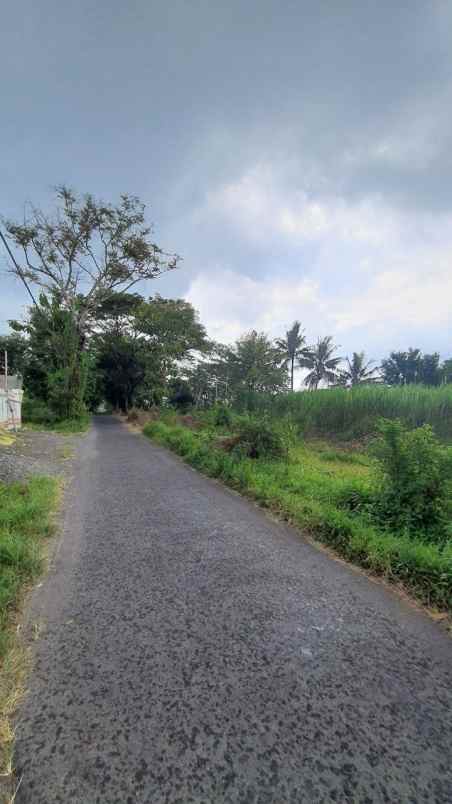 dijual tanah suko harjo sleman yogyakarta