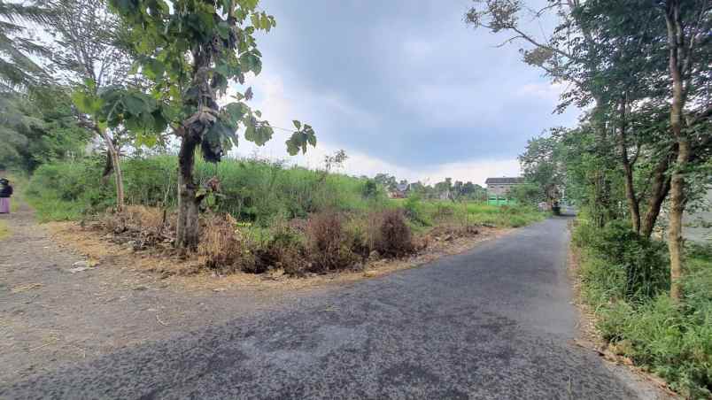 dijual tanah suko harjo sleman yogyakarta