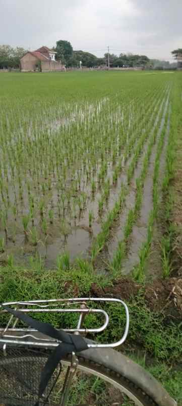 dijual tanah tegalsari cuplik sukoharjo