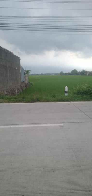 dijual tanah tegalsari cuplik sukoharjo