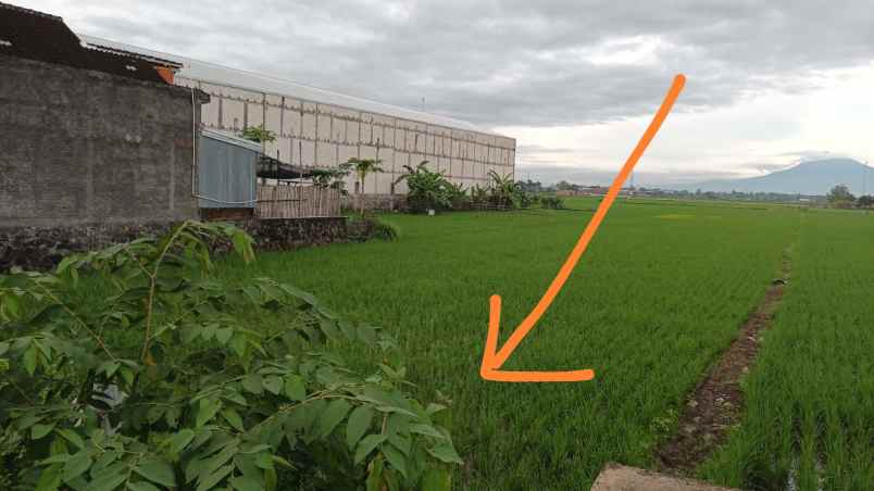 dijual tanah tegalsari cuplik sukoharjo