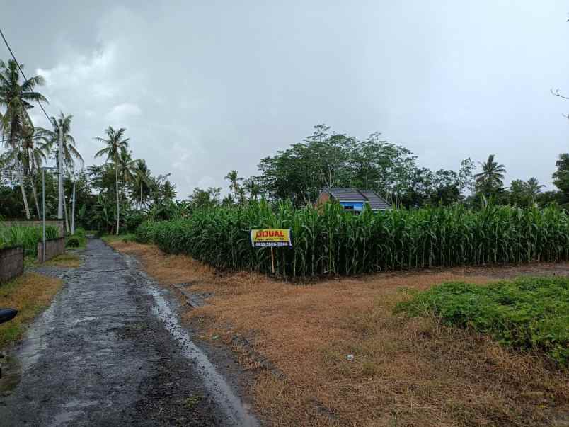 dijual tanah tegalsari kepanjen