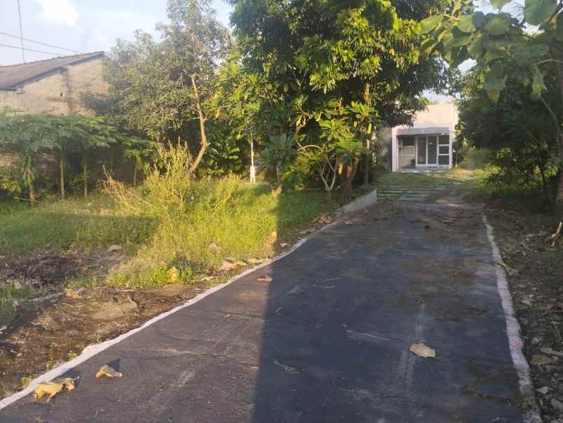 dijual tanah tirtomartani kalasan