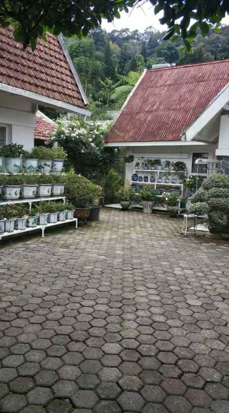 dijual villa di jln ciloto puncak