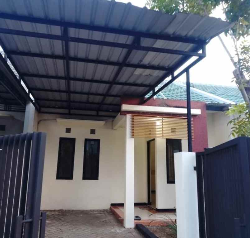 disewakan rumah sukolilo dian regency