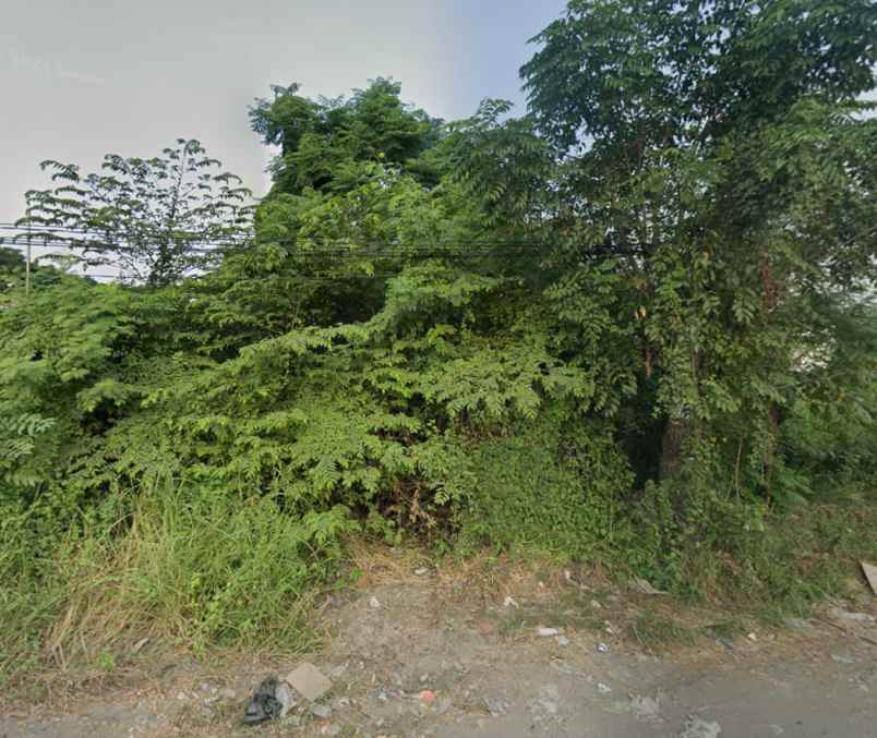 disewakan tanah alas malang