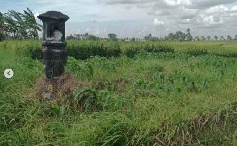 disewakan tanah di dekat pantai kelating