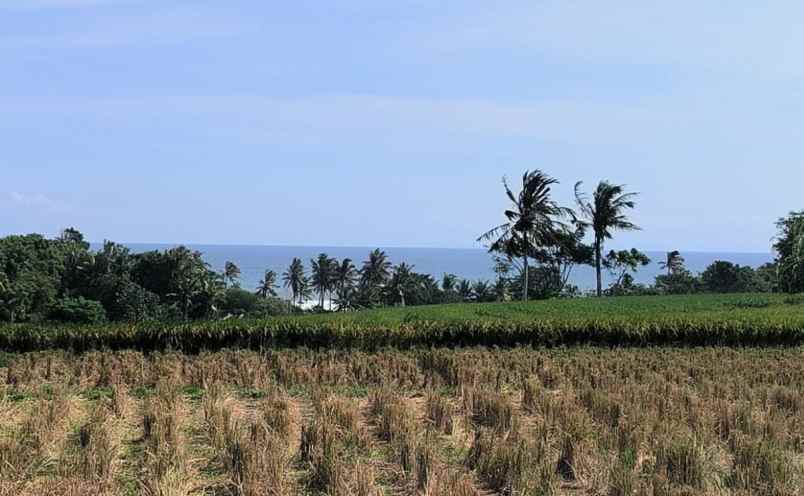 disewakan tanah di dekat pantai kelating