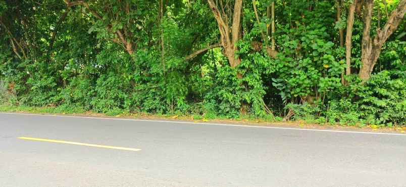 disewakan tanah jalan raya pengalon