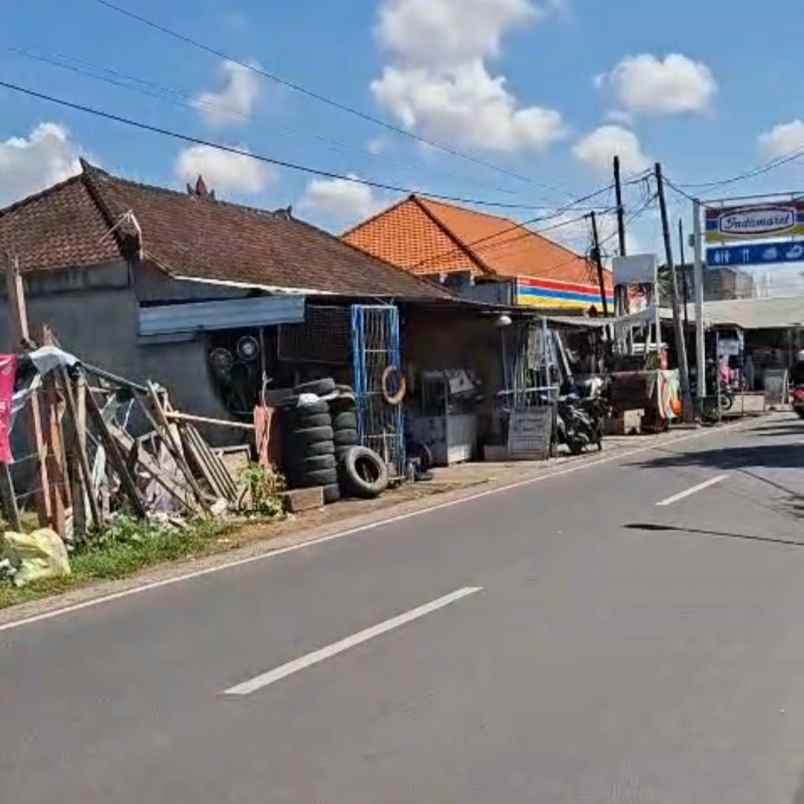 disewakan tanah jl raya pulau moyo