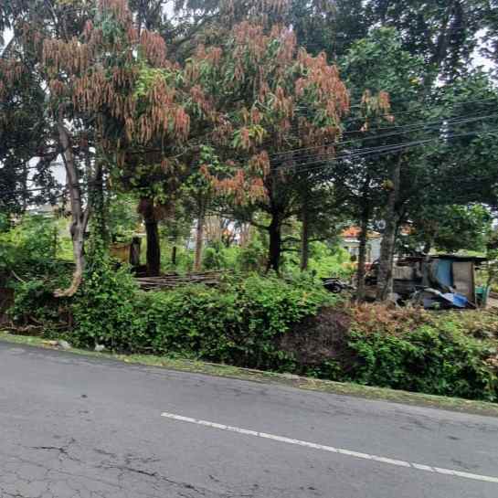 disewakan tanah jl trengguli