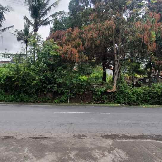 disewakan tanah jl trengguli