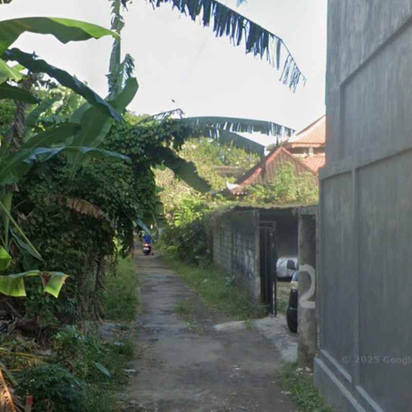 disewakan tanah pulau saelus