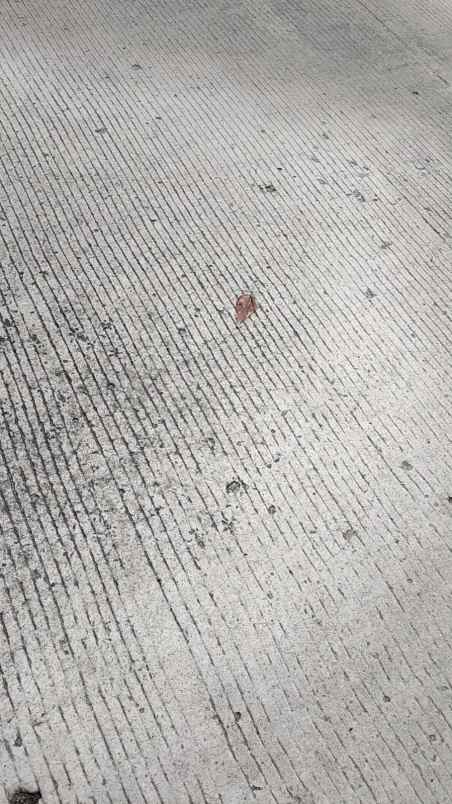 hunian harapan indah harga murmer siap huni c0655