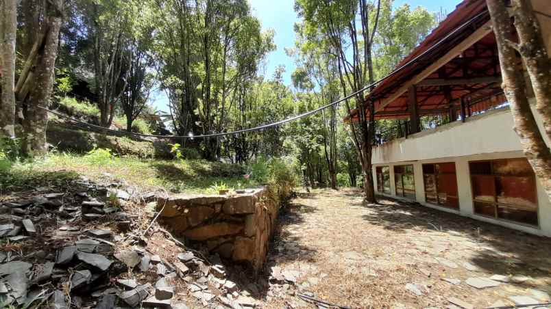 jual cepat kebun cengkeh ada villa di cimenyan bandung
