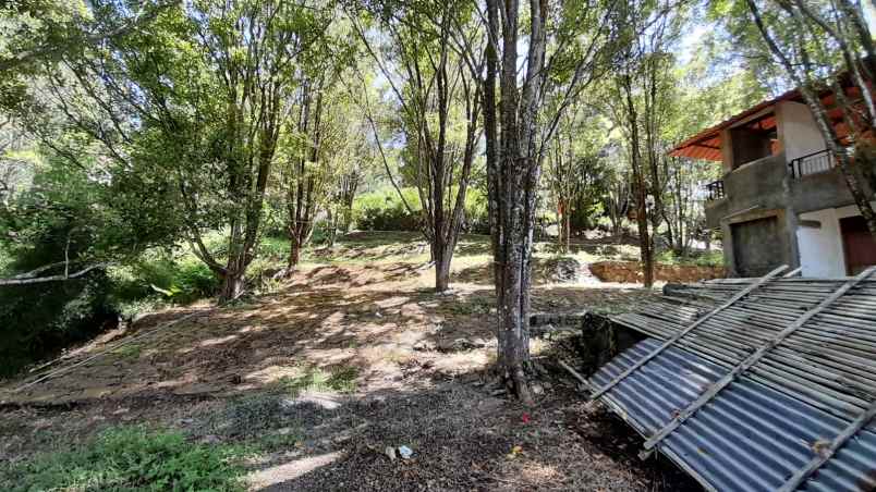 jual cepat kebun cengkeh ada villa di cimenyan bandung