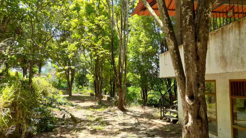 jual cepat kebun cengkeh ada villa di cimenyan bandung