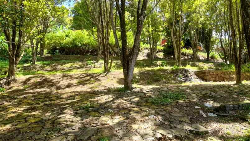 jual cepat kebun cengkeh ada villa di cimenyan bandung